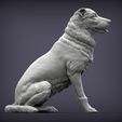 central-asian-shepherd-dog-3d-model-8afd61ea2c.jpg 3D-Datei Zentralasiatischer Hirtenhund 3D-Druckmodell・3D-Drucker-Vorlage zum herunterladen