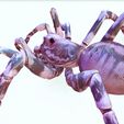 DSX.jpg SPIDER COLLECTION - DOWNLOAD SPIDER 3D MODEL ANIMATED - BLENDER - 3DS MAX - CINEMA 4D - FBX - MAYA - UNITY - UNREAL - 3D PRINTING - OBJ - FBX - 3D PROJECT SPIDER CREATE AND GAME READY SPIDER WOMAN RAPTOR