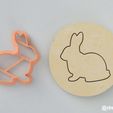Rabbit_3.jpg Form for cookies and gingerbread Rabbit