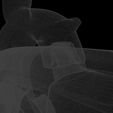 snapshot20.png Old guns - Deringer muzzleloader