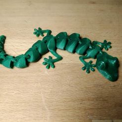IMG_20190318_184910.jpg Fichier STL gratuit Lézard articulé・Objet pour imprimante 3D à télécharger