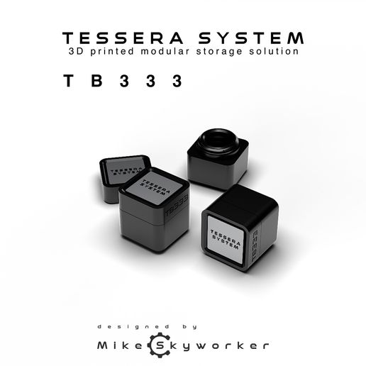 IMG_9068.jpg TB333 – Box for the Tessera System