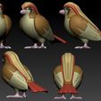 00.jpg Pidgey Evolution Pack