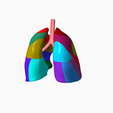 8.png Lower respiratory tract Lung 3D SEGMENTED in 19 PARTS