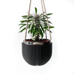 misprint-1988.jpg The Jani Hanging Planter Pot | Modern and Unique Home Decor for Plants and Succulents  | STL File