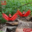 k.jpg Print In Place Cute Flexi Cardinal Bird