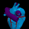 17.png 3D Model of Heart and Lungs