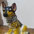 5.JPG Dog - German shepherd dog