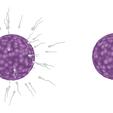 Ovum_Color.png Human Fertilization of Sperm and Egg cell (Ovum)