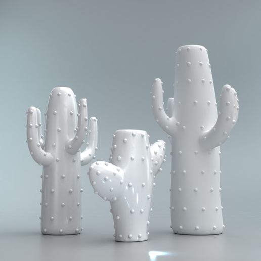 CATUS-WHITE.jpg CACTUS