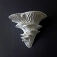 03.jpg STL-Datei Wandregal "Djamor Fungus"・3D-druckbare Vorlage zum herunterladen
