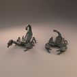 Emperor_scorpion_8.jpg 3D file Emperor scorpion for 3D printing - pre supported・3D print design to download