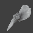 9.png 3D Model Ear Cross Section