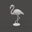 Flamingo_1.2.jpg Flamingo