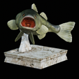 Bass-trophy-4.png Largemouth Bass / Micropterus salmoides fish in motion trophy statue detailed texture for 3d printing