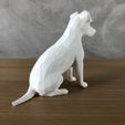 IMG-20240506-WA0022.jpg Jack Russell Low Poly