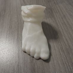 DSCN0503.JPG Free OBJ file Foot (Scan)・3D printable object to download