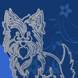 Yorkshire_.png Elegant Yorkshire Terrier