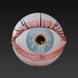 eye1.jpg Auge