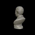19.jpg Nelson Mandela 3D sculpture 3D print model