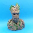Groot Buste Groot Sculpture