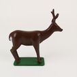 cheuvreuil-1.jpg Educational realistic forest animals