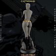 evellen0000.00_00_02_16.Still006.jpg Catwoman Grey Bodysuit - Collectible Edition