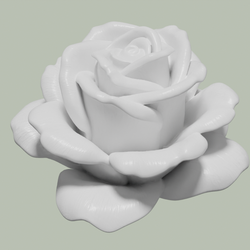 Realistic Rose Flower Model 3D model