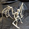 PXL_20240228_191214581.jpg Skeleton Action Figure