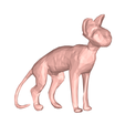 model.png Sphynx cat low poly