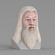 untitled.1747.jpg Dumbledore from Harry Potter bust for full color 3D printing