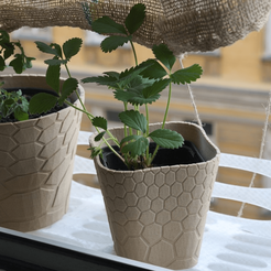 Capture d’écran 2018-04-24 à 15.53.21.png Бесплатный STL файл honeycomb planter #1・3D-печатный объект для загрузки