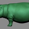 W01.jpg Hippo