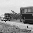 konvoy.jpg Leyland-Levend Public Bus 66cm