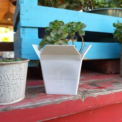 20210813_154035.jpg Файл STL Chinese Succulent Takeout Box Planter・Дизайн 3D принтера для загрузки