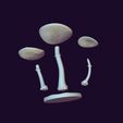 10.jpg DEATH CAP TOY