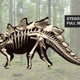 03.jpg stegosaurus, complete 3D skeleton.