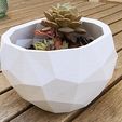 20230509_170455.jpg Modern Geometric Planter