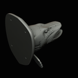northern-pike-28.png head trophy NORTHERN PIKE (ESOX LUCIUS) open mouth statue detailed texture for 3d printing