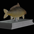 Carp-money-3.png fish sculpture of a carp with storage space for 3d printing