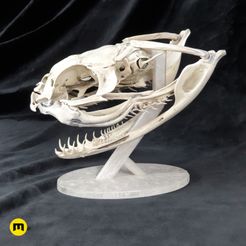 Snake_Head_3Demon-01.jpg Fichier 3D gratuit Crâne de serpent vipère Gaboon・Design à télécharger et à imprimer en 3D