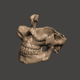 Skull-Wood-11.png Wood Skull Glasses and Change Holder