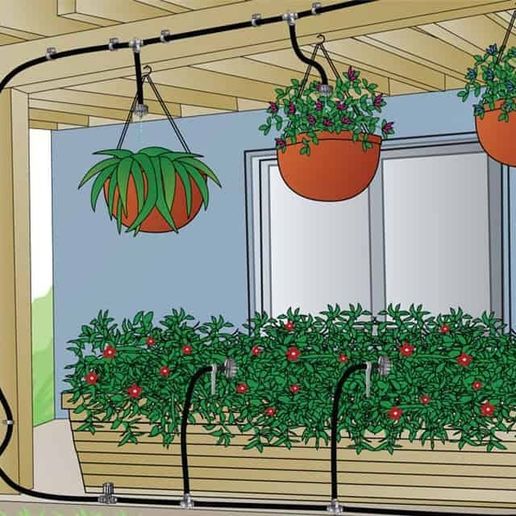 LAP-DAT-HE-THONG-TUOI-TU-DONG-CHO-CAY-TRONG-BAN-CONG-SAN-THUONG-2.jpg Drip irrigation system