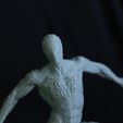 Milots-Tutus-3D-Printing-Cults5.jpg Télécharger fichier STL gratuit homme araignée • Design imprimable en 3D, tutus