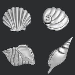 screenshot000.jpg Archivo STL Modelos STL para impresión 3D y CNC Conjunto de conchas marinas・Modelo para descargar y imprimir en 3D
