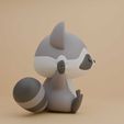 raccoon-03.jpg Raccoon