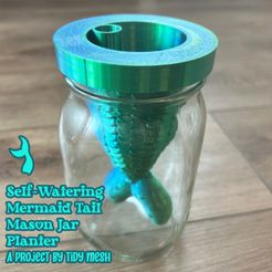IMG_7316.jpeg Self-Watering Mermaid Tail Wide Mouth Mason Jar Planter