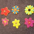 20170202_200318.jpg Free STL file Crocus, Forget-me-not, flowers・3D printer design to download