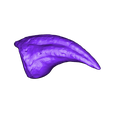 Pedal_Claw_Left_01.OBJ OBJ file Life size baby T-rex skeleton - Part 03/10・3D printing model to download