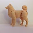 1645777468602.jpg Shiba inu BJD